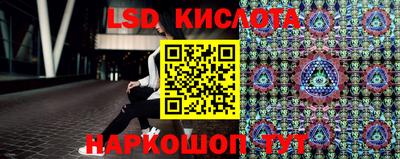 крисы Абакан