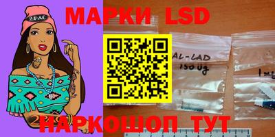 крисы Абакан