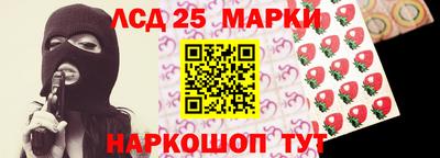 крисы Абакан