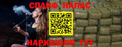 крисы Абакан